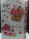 LARGE WIFE BIRTHDAY CARD 4 PAGE 2 OF VERSE 11" X 7" CUTE MODERN TRADITIONAL