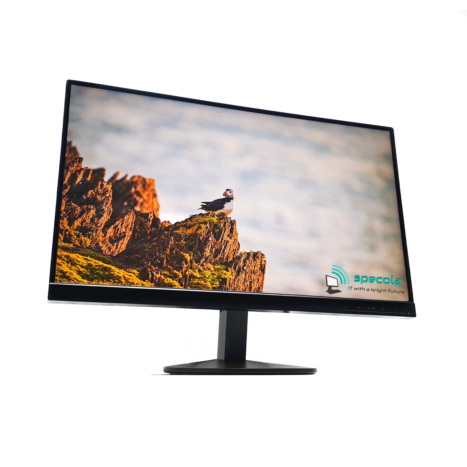 27"" Frameless QHD Monitor (2560 x 1440) 1xDisplayPort