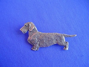 pin wire haired dachshund