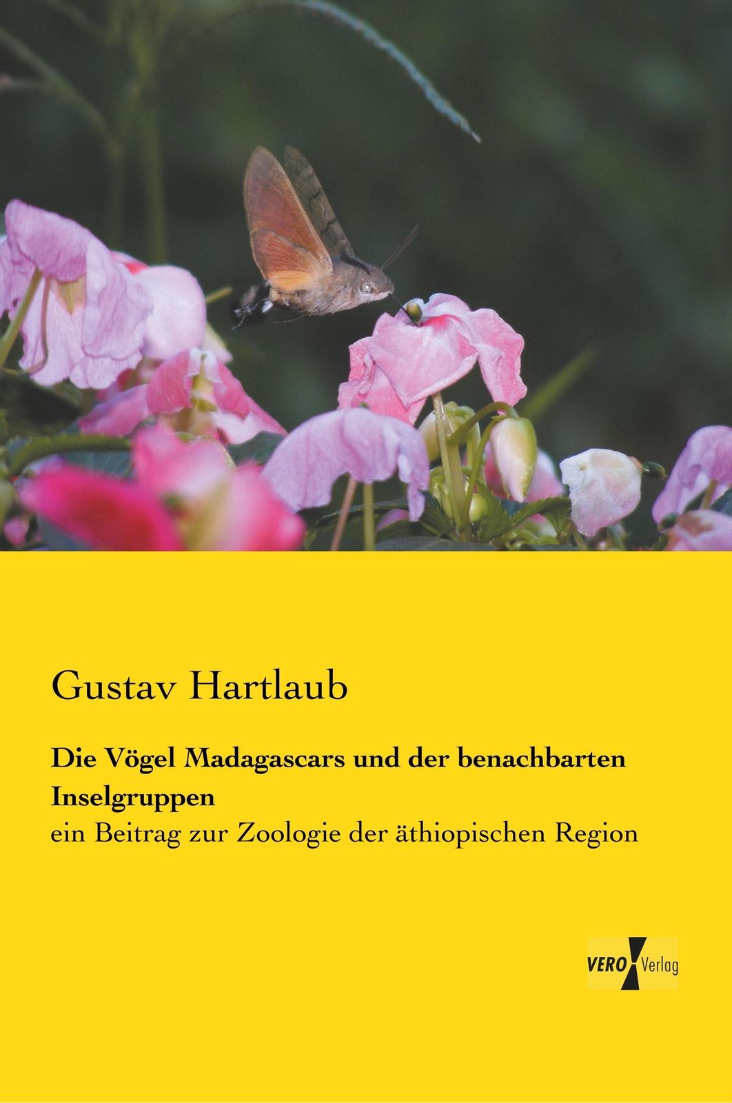 Die Vögel Madagascars Und Der Benachbarten Inselgruppen | Buch |