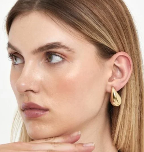 18k Gold Plated Bottega Veneta Inspired SMALL 30X20 mm Earrings
