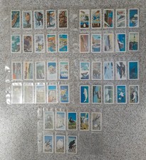 Brooke Bond Foods Limited vintage cards, The Arctic, full set of 48 cards