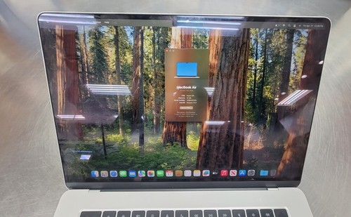 2025 Macbook air m4 chip 15in 256gb ssd 16gb ram - FAST SHIPPING - Picture 4 of 5