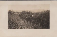 Real Photo Postcard Woman Standing in Tall Grass Field