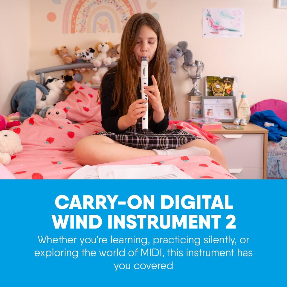 Wind Instruments Cart Carry-on Digital Wind Instrument 2 - Lightweight and Rechargeable - 10 ...