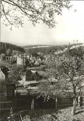 Herald Thum Erzgebirge 