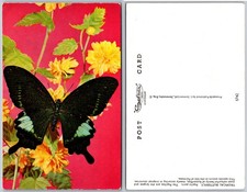 Butterfly Yellow Flowers Postcard