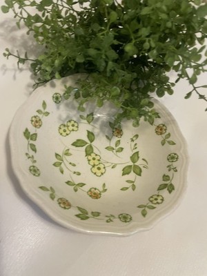 2 Petite Flora Ironstone 6½'' Cereal Salad Bowls Replacement 4009