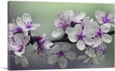 ARTCANVAS Spring Blossom Flower Rectangle Canvas Art Print