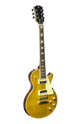 LP - E-Gitarre GOLD