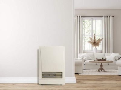 Rinnai Energysaver RHFE-265FTA Direct Vent Propane Gas Wall