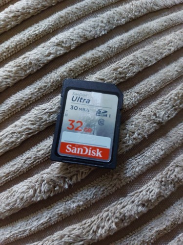 Sandisk Ultra 32GB Sdhc Speicherkarte 30mds gebraucht