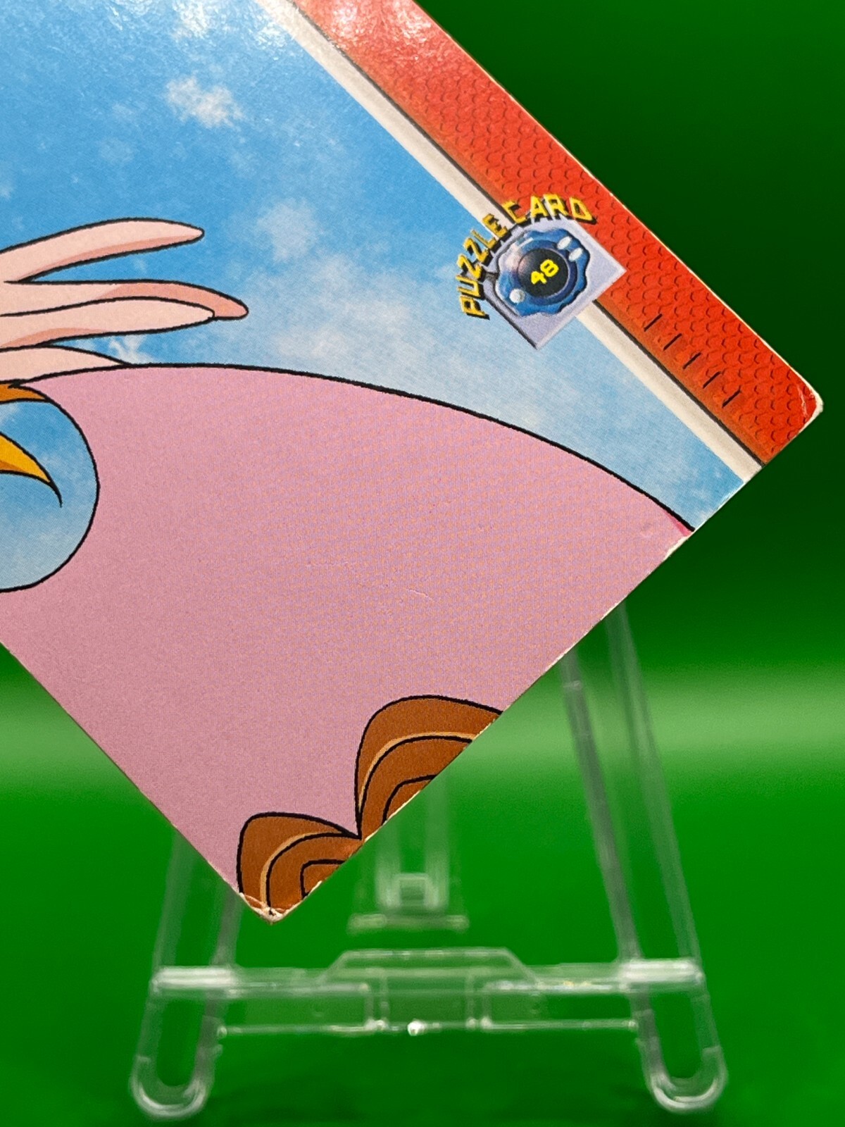 Foto 5 di 6