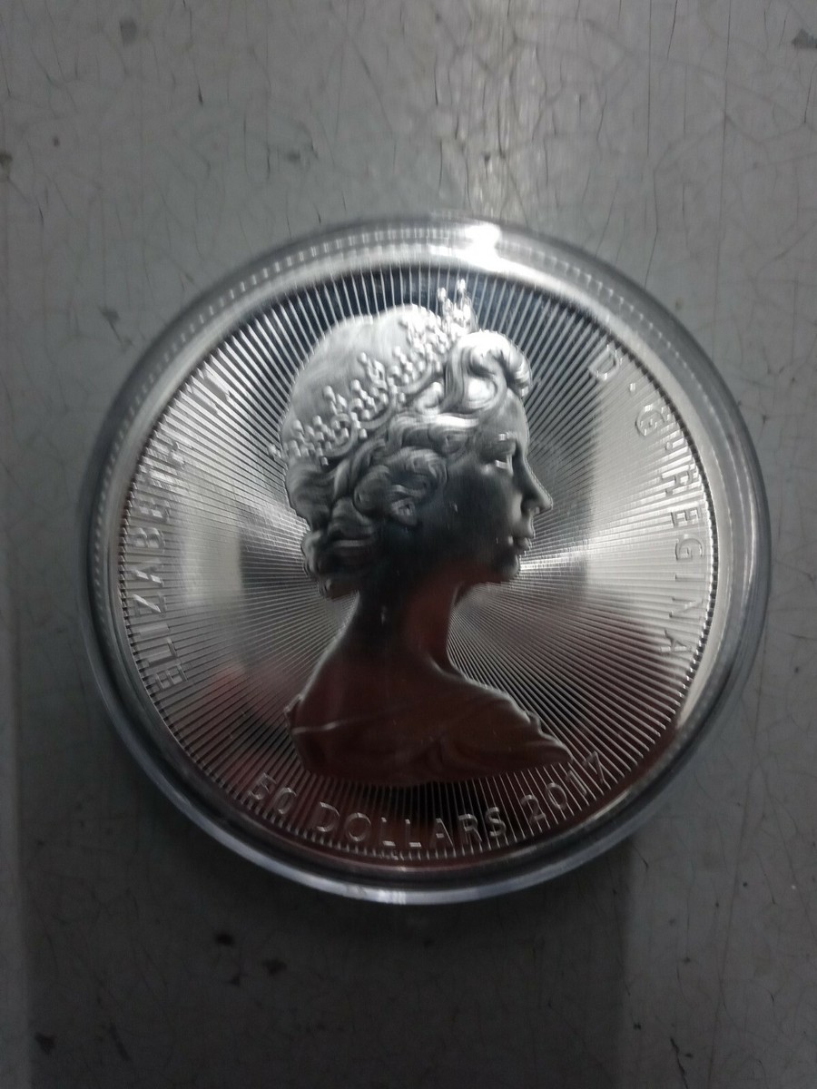 2017 $50 CANADA THE GREAT - NIAGARA FALLS 10 OZ SILVER COIN | eBay