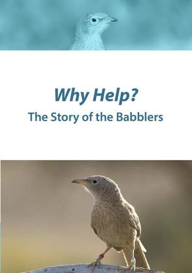 Why Help? The Story of the Babblers (DVD)