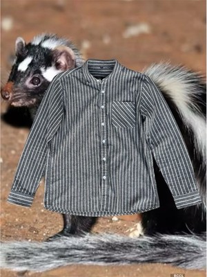Striped button up shirt 