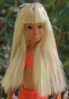 Vintage Malibu Skipper The Sun Set Barbie Complete 1970 Mattel 1069 NM☀️