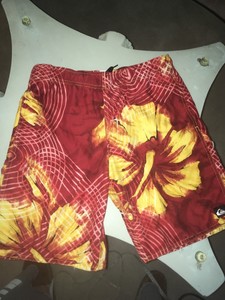 quicksilver boys swim trunks
