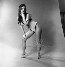 1960s Negative-buxom brunette pinup girl Donna Stanley-cheesecake t936853 