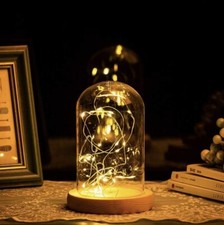 Deko Glas glocke Glashaube LED Lichter   Hochzeit Geburtstag Party Sommer Garten