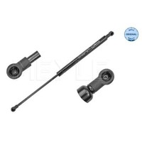 Gasfeder DäMpfer Heckklappe FüR Renault Clio III BR0/1 CR0/1 Sb_ Sr_