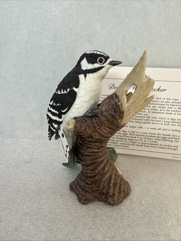 Figura Pájaro Carpintero Lenox Downy Colección Pájaro Jardín 1989 Certificado de Autenticidad Foto 4 de 4