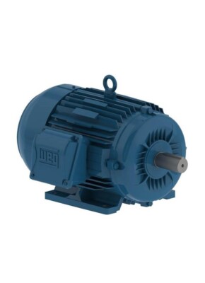 Weg 00512ET3E215T-W22 WEGMOTOR MOTOR 5HP 6P 213/5T WFF2