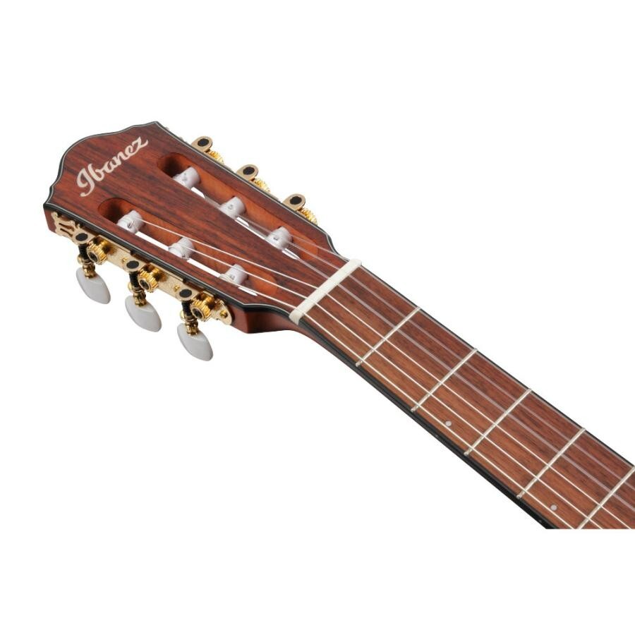 Ibanez FRH10N-RGF Nylon Electric Guitar Rose Gold Metallic