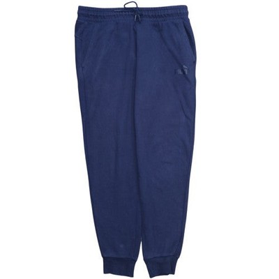 Puma Jogginghose Herren Blau L Regular Fit Freizeit Sportbekleidung