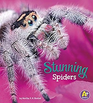 Stunning Spiders Paperback Martha E. H. Rustad