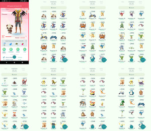 Compte Pokémon Go Digital Avec 30 Shiny Aléatoires - Compte Aléatoire - Neuf