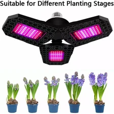 80W Full Spectrum Plant 144LED Grow Light Veg Lamp For Indoor Hydroponic Plant