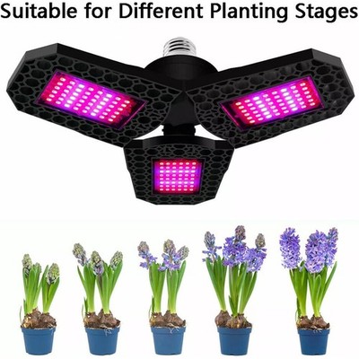 80W Full Spectrum Plant 144LED Grow Light Veg Lamp For Indoor Hydroponic Plant