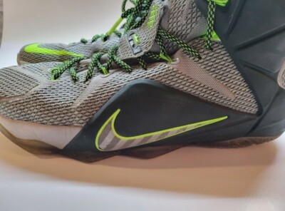 Nike Lebron XII Men display picture 2