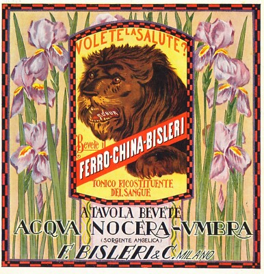 ADVERTISEMENT 1924 FERROQUINA BISLERI AQUA NOCERA UMBRA SPRING ANGELICA ROBUR