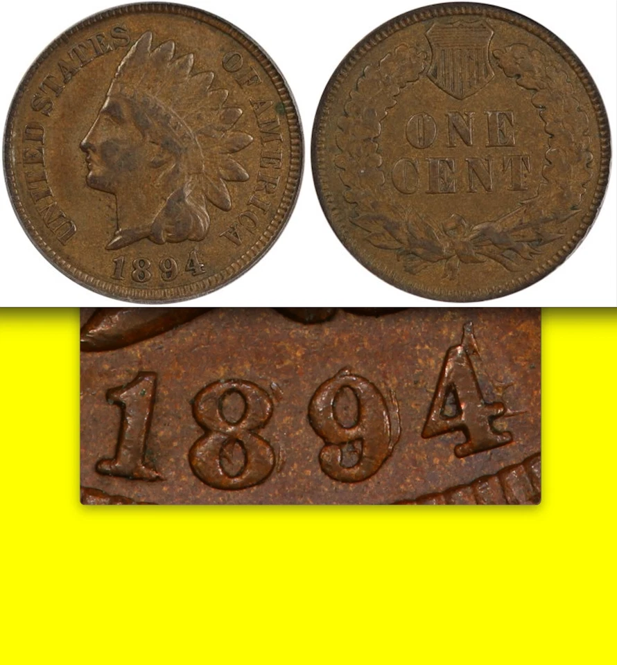 1894/1894 ANACS VF30 The Big One RPD-1 Snow-1 Ultra-Choice Indian Cent EDS 1C PQ - Image 2 of 3