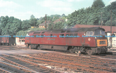R523677 Western Class 52 Diesel hydraulisch Nr. D 1073 Western Bollwerk bei Exeter an