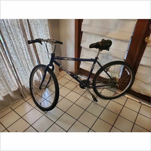 Purple Mountain Bike Bicycle XL 