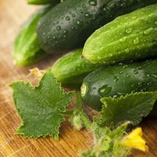 Long Green Improved Cucumber Seeds Non-GMO, Shipped with Tracking, Home Garden