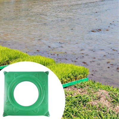Teichpflanzen Schwimminsel künstlich quadratisch für Garten Wasserpflanze Teich