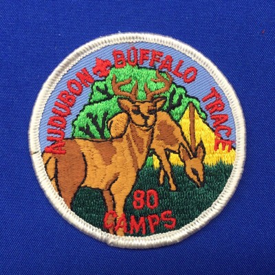 Boy Scout Audubon Buffalo Trace 1980 Camps Patch 239B2