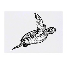 'Sea Turtle' Temporary Tattoos / Transfers TO00019411 