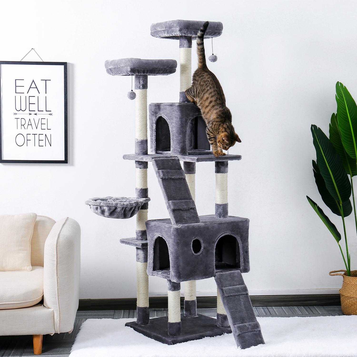 cat play climbing frame
