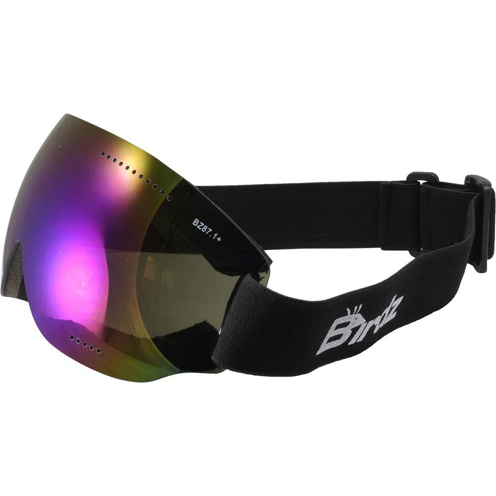 Birdz Thrush Sport Skydiving Snowboarding Motorcycle Riding Goggles Blue Mirr...