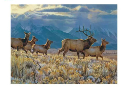 3D WILDLIFE LENTICULAR PRINT / ELK HERD / 12x16 / Animal Poster / NO FRAME