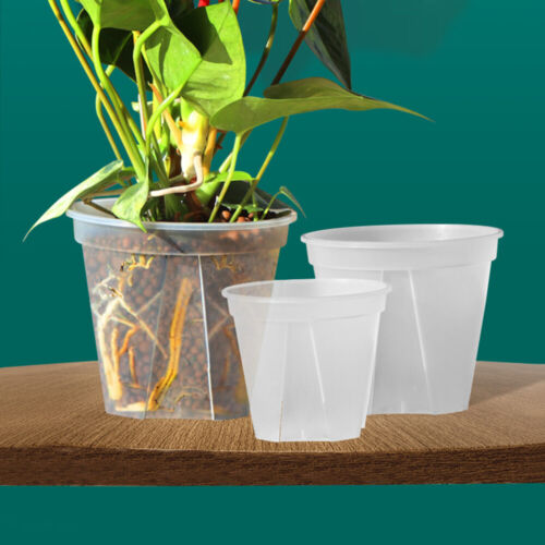 Macetas transparentes para orquídeas macetas de flores macetas de jardín plantas para cultivar macetas de plástico 10/12/15/18/21/24 cm - Imagen 1 de 16