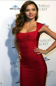 bodycon dinner dress