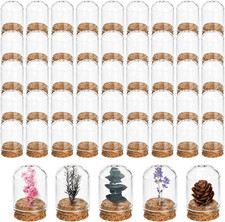 50 Pack Cloche Bell Jar, Mini Glass Jars with Cork Lids, 8Ml Glass Dome Cloche w