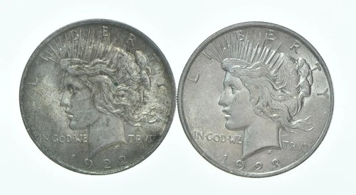 1922 & 1923 Peace Silver Dollar $1 Bullion Collection Lot *117