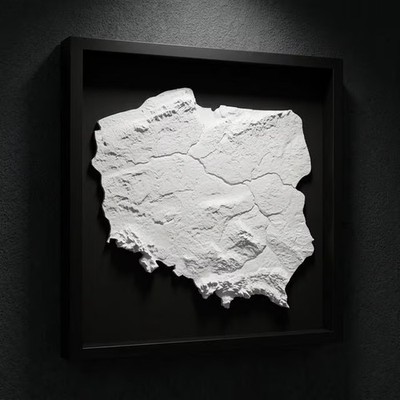 3D Poland Map Wall Art: Topography in Black Wood Frame
